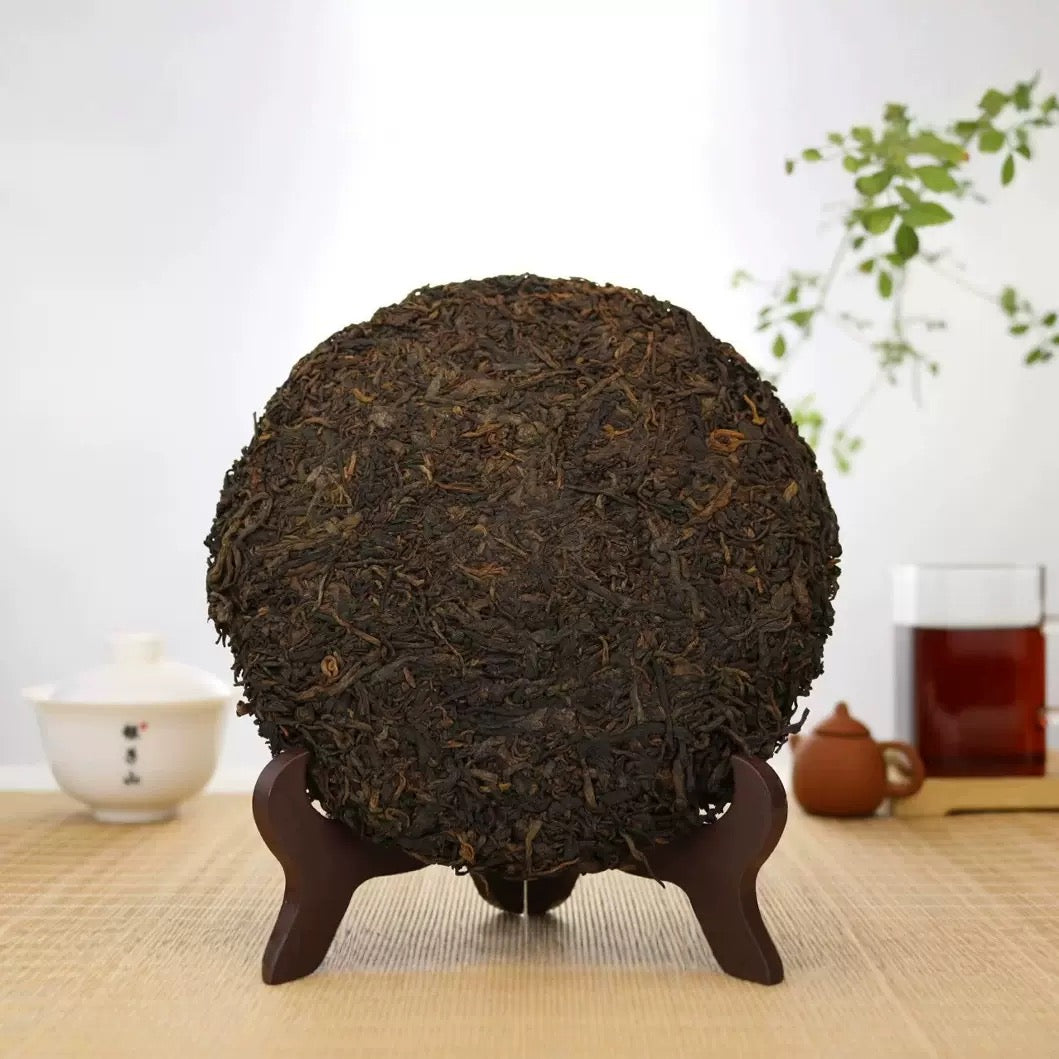 100 year old tree matured