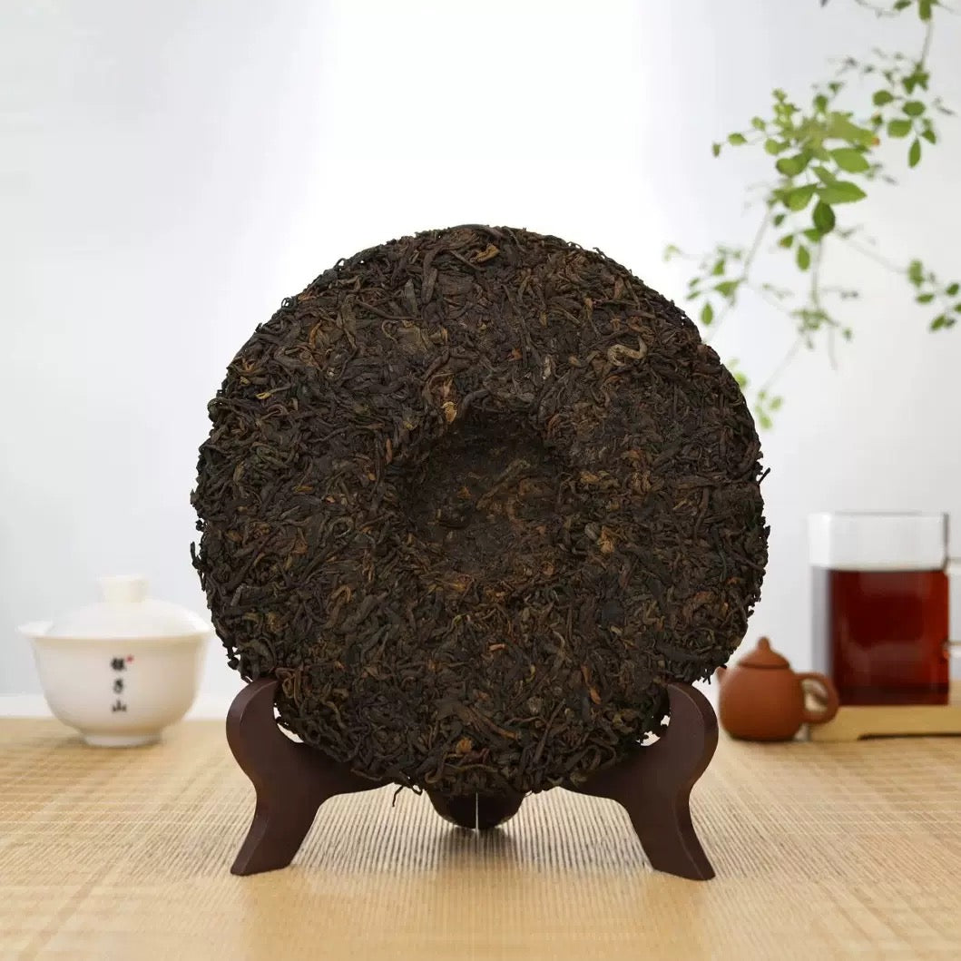 100 year old tree matured